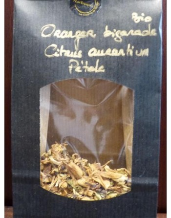 Oranger bigaradier Bio...