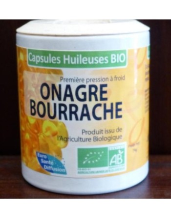 Onagre/Bourrache