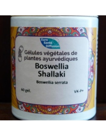 Boswellia shallaki