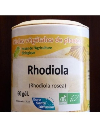 Rhodiola