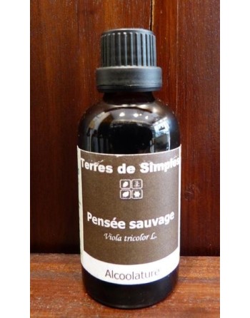 Alcoolature pensée sauvage