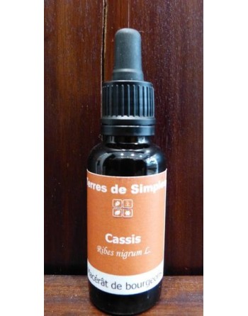 Bourgeons Cassis