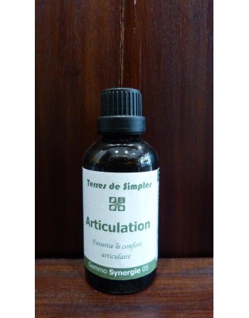 Complexes Articulation