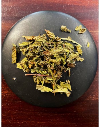 Menthe douce Mentha spicata...