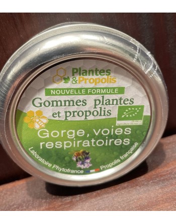 Gommes plantes et Propolis