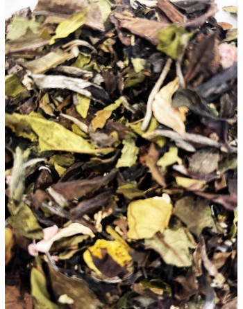 Thé Blanc Rêve de Femme (40g)