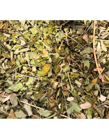 Moringa BIO  20g