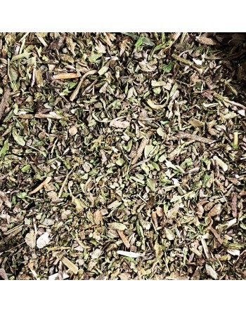 Basilic sacré Tulsi BIO 25g